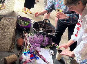 Potting up using recycled coffee cups.